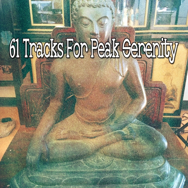 Couverture de 61 Tracks for Peak Serenity