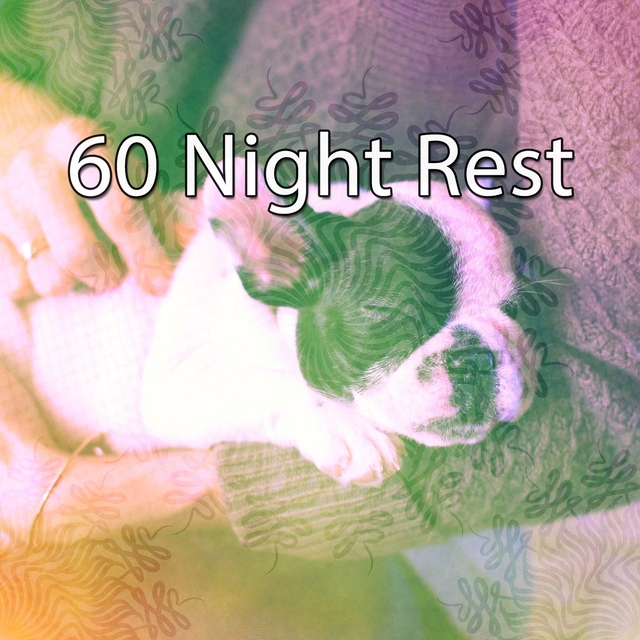 60 Night Rest