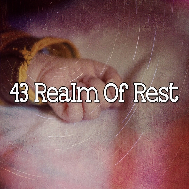 Couverture de 43 Realm of Rest