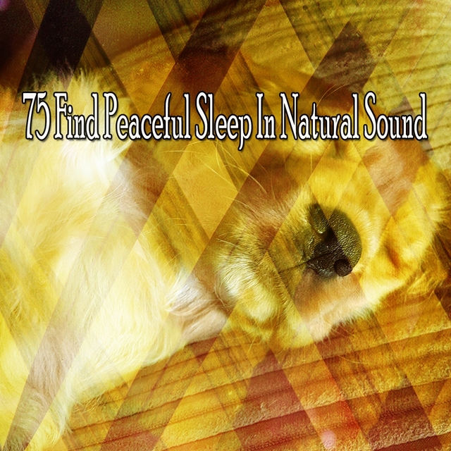 75 Find Peaceful Sleep in Natural Sound