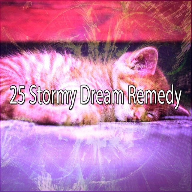 25 Stormy Dream Remedy