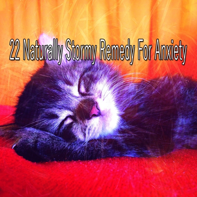 22 Naturally Stormy Remedy for Anxiety