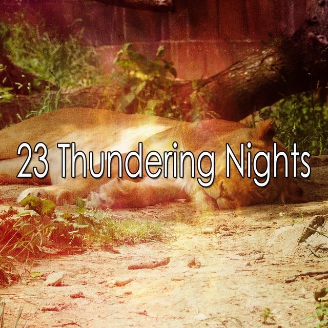 23 Thundering Nights