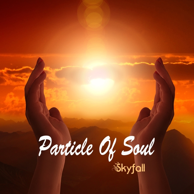 Couverture de Particle of Soul