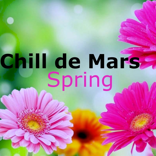 Couverture de Spring