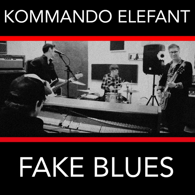 Couverture de Fake Blues