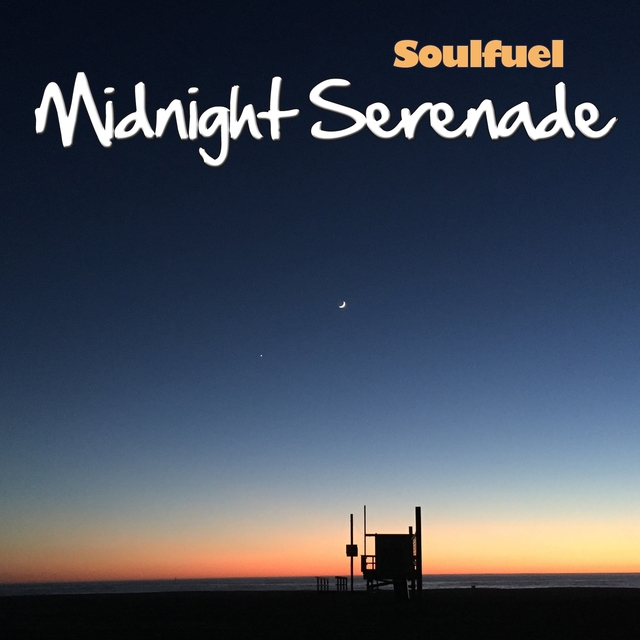 Couverture de Midnight Serenade