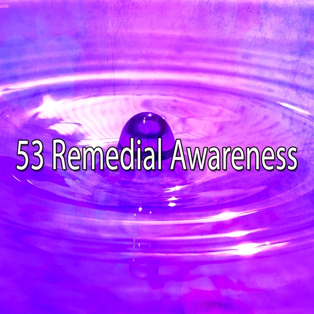 Couverture de 53 Remedial Awareness