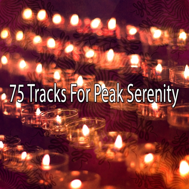 Couverture de 75 Tracks for Peak Serenity