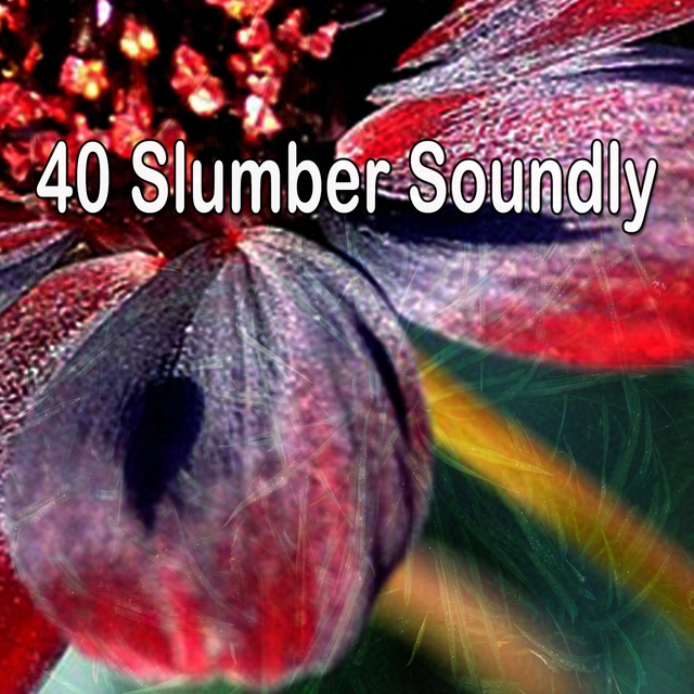 Couverture de 40 Slumber Soundly