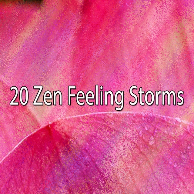 20 Zen Feeling Storms