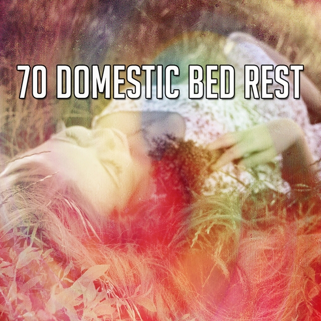 70 Domestic Bed Rest