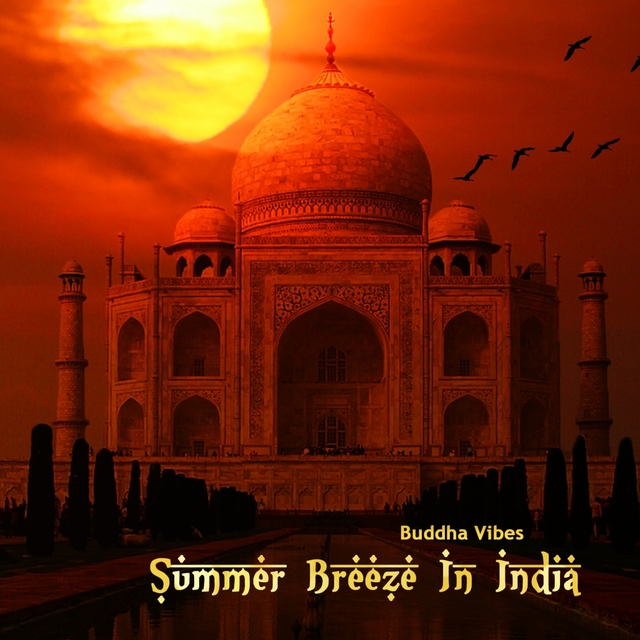 Couverture de Summer Breeze in India