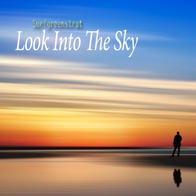 Couverture de Look Into the Sky