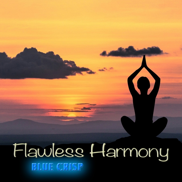 Couverture de Flawless Harmony