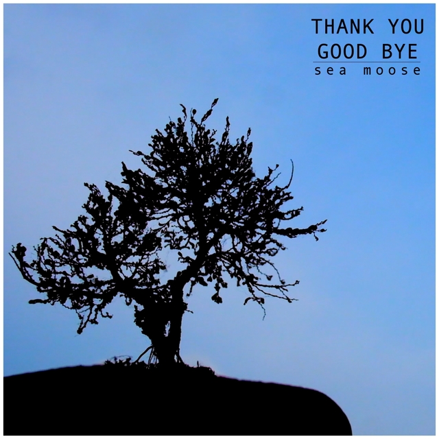 Couverture de Thank You Good Bye