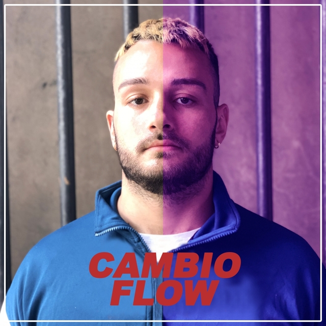 Cambio Flow