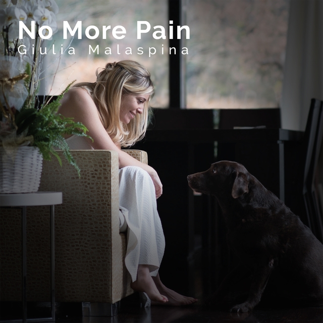 Couverture de No More Pain