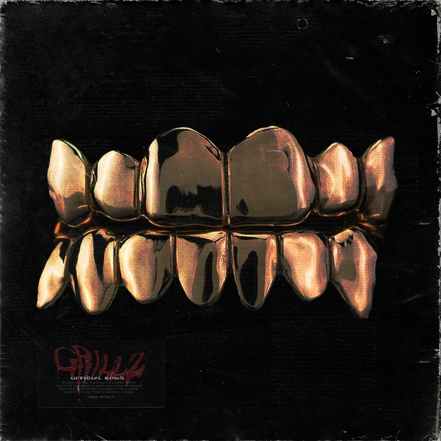 Couverture de Grillz