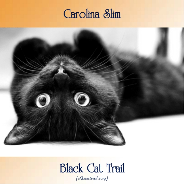 Couverture de Black Cat Trail