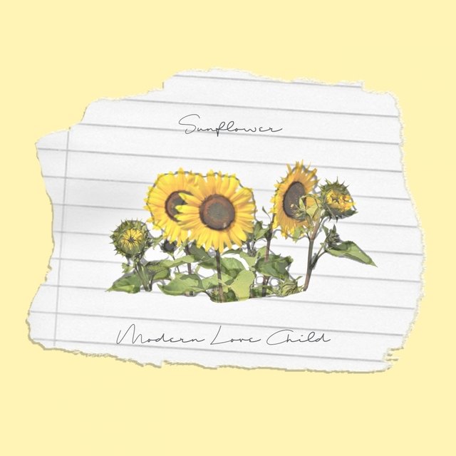 Couverture de Sunflower