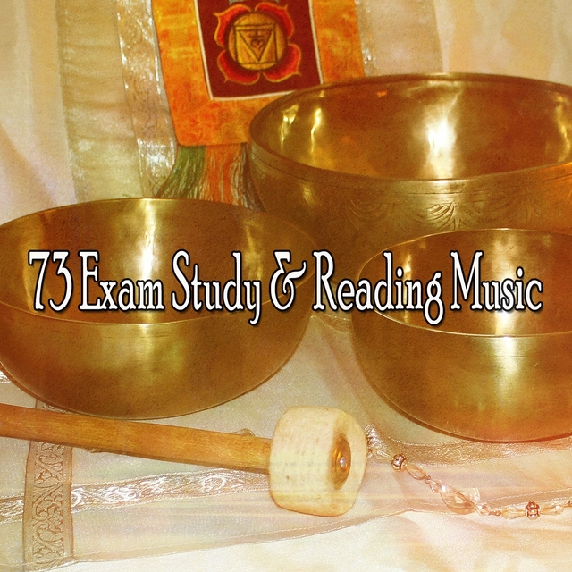 Couverture de 73 Exam Study & Reading Music