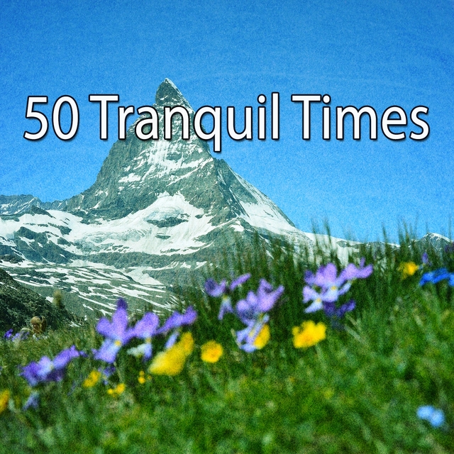 Couverture de 50 Tranquil Times