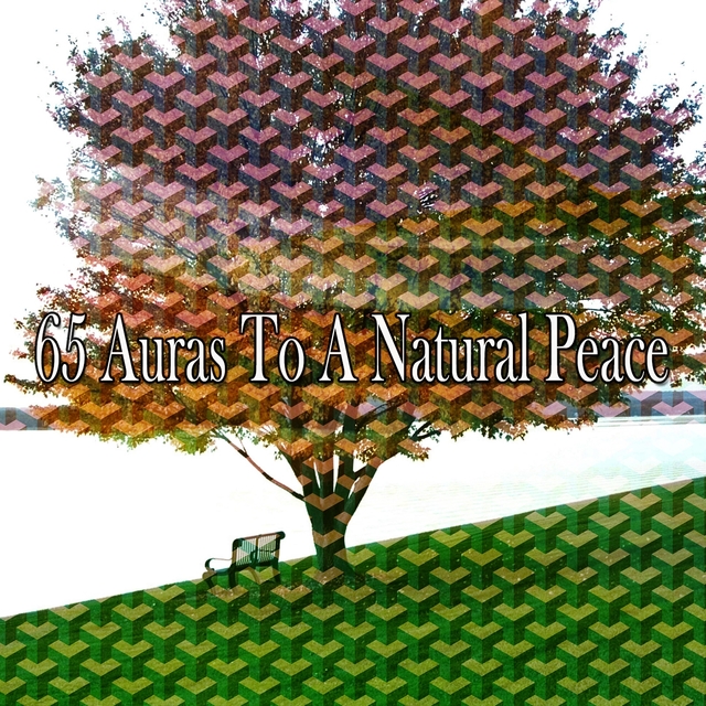 Couverture de 65 Auras to a Natural Peace