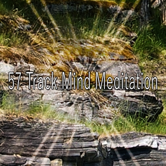 Couverture de 57 Track Mind Meditation