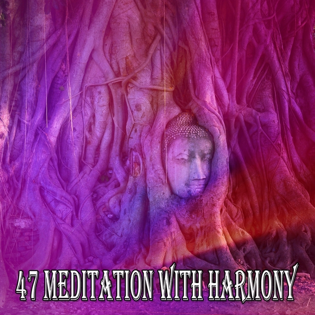 Couverture de 47 Meditation with Harmony