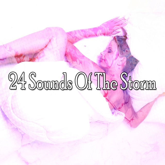 Couverture de 24 Sounds of the Storm