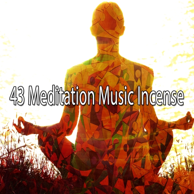 Couverture de 43 Meditation Music Incense