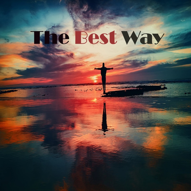 Couverture de The Best Way