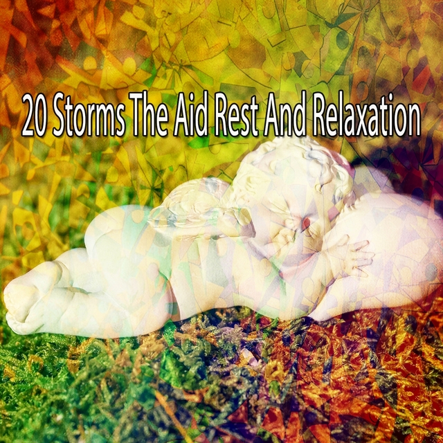 Couverture de 20 Storms the Aid Rest and Relaxation