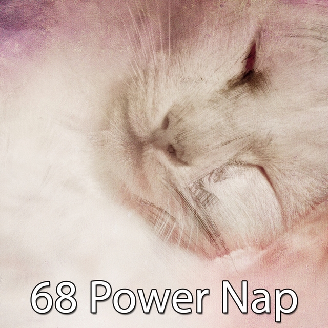 Couverture de 68 Power Nap