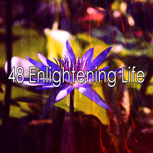 48 Enlightening Life
