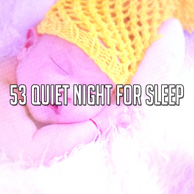 Couverture de 53 Quiet Night for Sleep