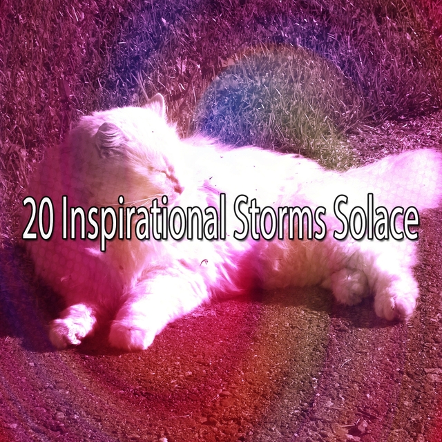 20 Inspirational Storms Solace