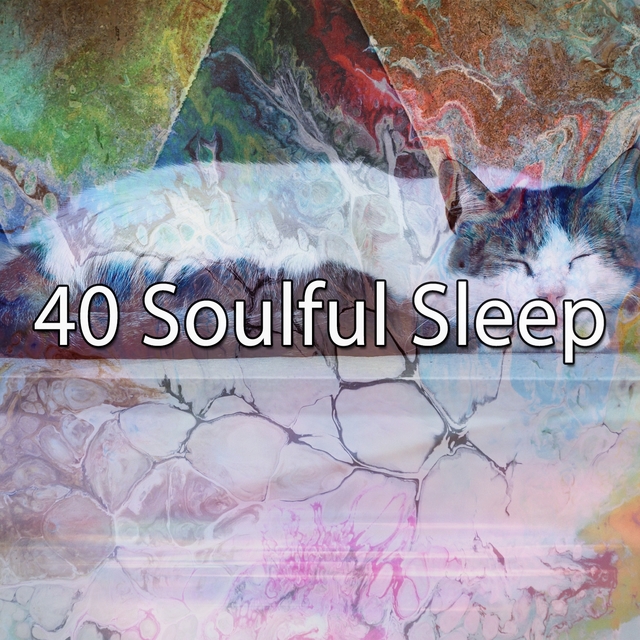 40 Soulful Sleep