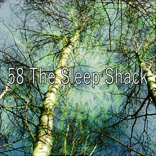 58 The Sleep Shack