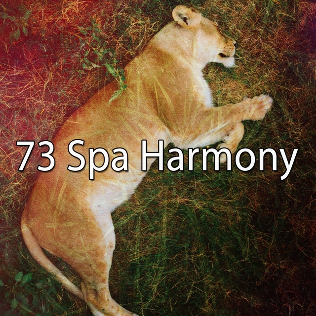 73 Spa Harmony