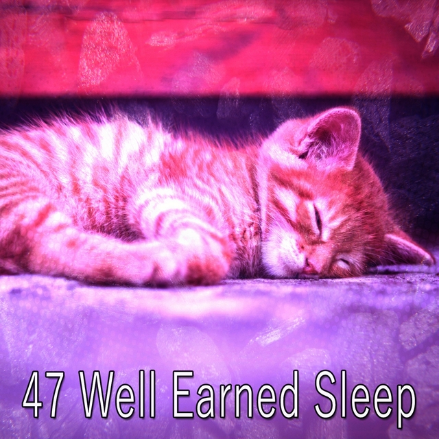 47 Well Earned Sleep