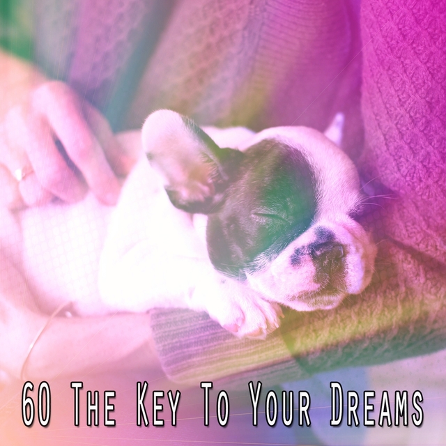 60 The Key to Your Dreams