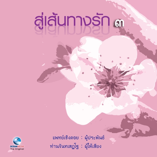 สู่เส้นทางรัก 3