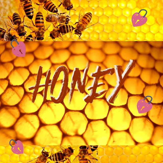 Couverture de Honey