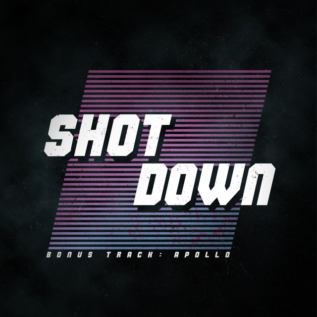 Couverture de Shot Down