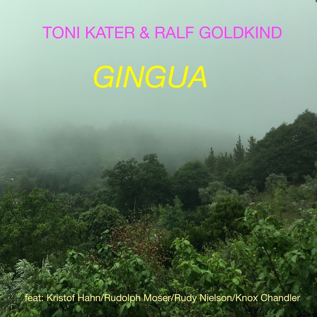 Couverture de Gingua