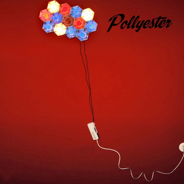 Couverture de Pollyester EP