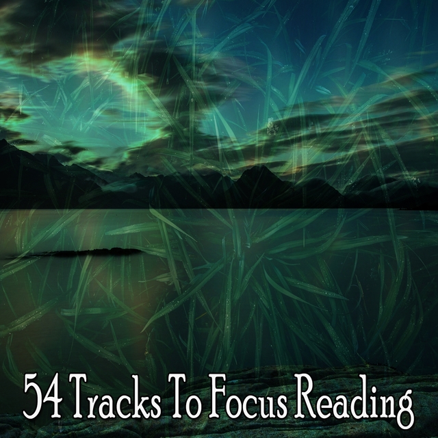 Couverture de 54 Tracks to Focus Reading