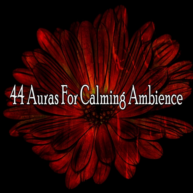 Couverture de 44 Auras for Calming Ambience